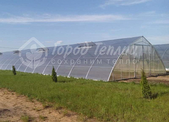 Промышленная теплица 1000 кв. м